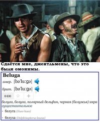 Об умении заставить кита летать