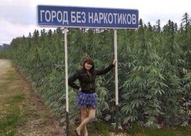 Веселые фотки с надписями