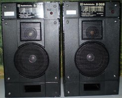 Радиотехника АС30 ! 
Единственные колонки которые я покупал . 
Кстати в день Путча (19 августа 1991 года) 
До сих пор работают как надо !