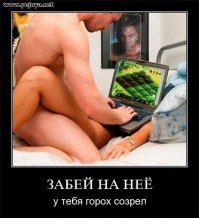 Веселые фотки с надписями