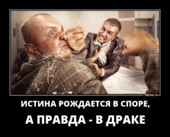 Веселые фотки с надписями