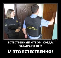 Веселые фотки с надписями