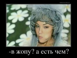 Веселые фотки с надписями