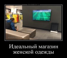 Веселые фотки с надписями