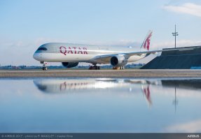 Об умении заставить кита летать