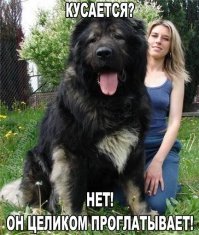 Картинки с надписями для настроения