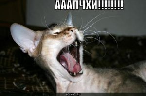 Красиво сказано!
Я поддерживаю правило свободы в интернете!
Я чихаю от пыли  в библиотеке.