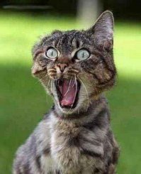 Когда в системнике взорвался конденсатор, такая же картина наблюдалась.
В офисе все были в шоке...