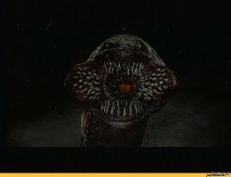 Эти кошмары - не из ужастиков, а из реальной жизни!