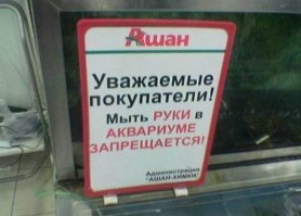 Порция новых необычных запретов, размягчающих мозг