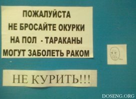 Порция новых необычных запретов, размягчающих мозг