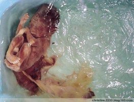 Суп из младенцев   былинное древнее китайское блюдо, любимое тамошней аристократией за свои целебные и тонизирующие свойства. Подается традиционно в закрытых ресторанах по предварительным договоренностям знати с администрацией. Цена на нямку колеблется в районе 3-4 тысяч юаней за порцию, что в переводе на зеленые американские рубли примерно составит 430 570 у.е.
может кому пригодится... Рецепт на 4 порции:
300 г мелкой картошки, 1 луковица, по 2 стол. ложки жира для жаренья (подсолн. масло сойдет) и горчички, 150 г. эмбриональной плоти, 1 стол. ложки томатной пасты, 4 стол. ложки медку, 1 банка томатов 850 мл, 400 мл овощного бульончика, по 250 г. консервированной белой и красной фасоли (или   лучше   можно просто сварить 2 стакана фасоли), острый перчик, чесночок.
Сварить фасоль, слить воду, залить овощным бульоном (можно сделать его из бульонного кубика), варить дальше вместе с очищенной и нарезанной картошечкой до готовности последней. На сковородке поджарить лук, после   порубленного неродившегося дитятку. После этого туда же (в сковороду) добавляется горчица, мед и томатная паста. Тушить несколько минут до растворения меда и пасты. Все это выливается в кастрюльку, где уже сварилась картошка. Пока оно там обретает общую мистическую составляющую, открываем баночку томатов в собственном поту, пот сливаем в кастрюлю, томаты чистим от шкурки, по желанию режем и бросаем туда же. Добавляем чеснок (3-4 крупные дольки) и перец в количестве. Оно определяется на вкус, лучший вариант   когда глазки на лоб лезут (не стоит прекрасное блюдо портить малым количеством перца!). Выключаем и ждем, пока остынет до температуры, пригодной к употреблению.
Рекомендуется запивать пивком (да-да, суп   пивом!). Не мараем хлебушком и маянезиком. Приятного аппетита!