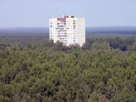 Многоэтажка в лесу, фото которой блуждало в сети, попала в эту съемку