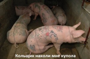 Как погиб "Коля ДМБ-87" или армейская татуировка