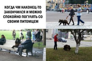 Зверские фоты