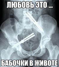 Свежая подборка демотиваторов, которые поднимут вам настроение