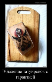 Тату-свиньи: художник бьет на свиньях татуировки, а потом продает их за бешеные деньги