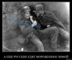 Кошка, попавшая в лужу: неудачный дебют «пантер» на Курской дуге