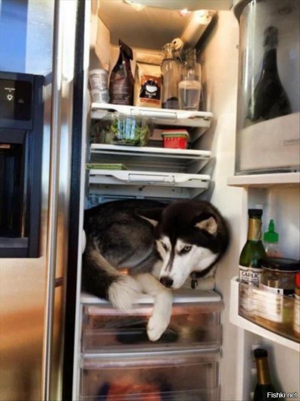 А это можно хранить в холодильнике ?  :)