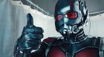 О муравьях: описание и особенности вида