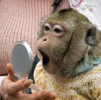 Много чего появилось, но пользоваться так и не  научились.
А уже десятилетия прошли, как свободу хехе получили.