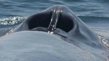 Очень "привычные" вещи, почти каждый день вижу, особенно эта "привычная вещь":