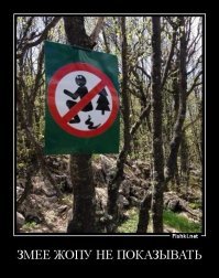 Порция новых необычных запретов, размягчающих мозг