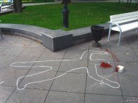 Жуки, цветы и мышки под ногами