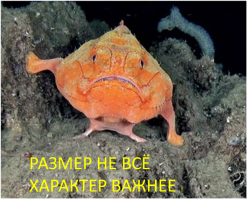 Как оказалось, размер все-таки имеет значение