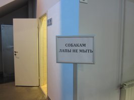 Маразм крепчал