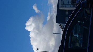 ну вот и моих пару фоток и не фотошоплеенный Слоник в подарок