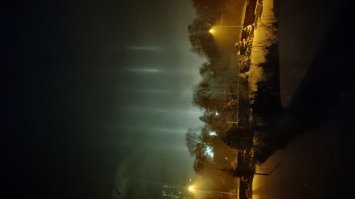 ну вот и моих пару фоток и не фотошоплеенный Слоник в подарок