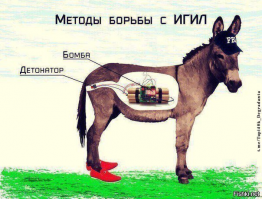 Для востока тоже ИИ с одной ослиной силой разрабатывают