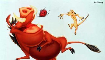 Жуки  фото и названия