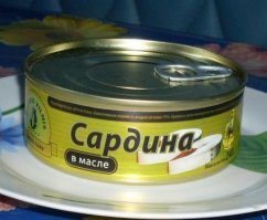 Десятки тысяч сардин пролетели над водой: видео