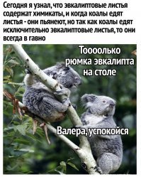 как то так