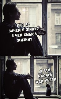 Необычные решения для повседневной жизни