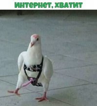 Необычные решения для повседневной жизни