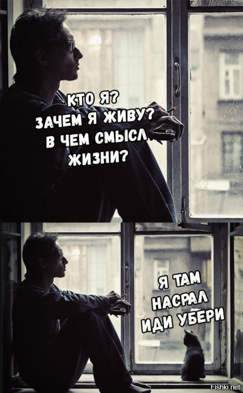 Необычные решения для повседневной жизни