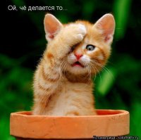 А вот если бы он так с женой стоял ?
И тут подходят к нему хулиганы ?