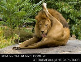 Эксклюзивные фотографии Дженнифер Энистон на отдыхе