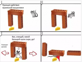 Замучили мелкие грызуны?