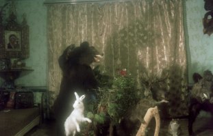 Обязательно досмотрите до конца и со звуком