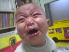 «Щенок побежал мне навстречу и вдруг… пропал!»