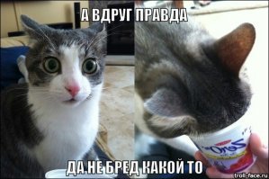 7 ежедневных привычек, которые вредны даже больше, чем курение и алкоголь