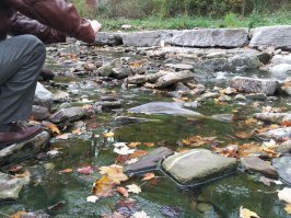Ну не все так однозначно. Например стоит в пятницу вечером прошвырнуться по барам в даунтауне Торонто и красивых девушек можно воз и маленькую тележку набрать. Ну или в парке каком-нибудь можно лицезреть красивых спортивных девушек, бегающих, катающихся на роликах и великах.

По вечерам можно занятий найти очень много. Бары и дискотеки до 2 утра гудят от посетителей, куча парков с велодорожками, огромное множество спортивных центров (под открытым небом и закрытых), с плавательными бассейнами, теннисными, ракетбольными, сквошными кортами, баскетбольными и волейбольными площадками. Все это очень дешево. Например абонемент во все городские спортивные центры города, где я работаю стоит 80 долларов в год. Этот абонемент дает мне право посещать все бассейны, и все спортивные мероприятия в этих центрах.  Стоит упомянуть огромное количество озер (2 миллиона), где можно плавать, ходить на яхте, на моторке, заниматься виндсерфом и кайтом.

Зима, по крайней мере в месте, где я живу, длится 3 месяца. Снега вполне умеренное количество. Например прошлая зима выдалась особенно суровой. Первый снег выпал в начале декабря и последний растаял в середине марта. Обычно снег появляется в конце декабря и сходит в начале марта. Кстати зимой очень даже много чего можно делать. Горные лыжи/борды (довольно большое количество лыжных баз), беговые лыжи, опять-же кайт на снегу.

Ну и насчет пляжного времяпрепровождения - прошлым летом первый раз купался в озере Онтарио (это довольно прохладное озеро, потому как большое) в начале июня, последний раз в конце октября. Такой вот пляжный сезон. В этом году из-за холодной зимы в конце июля начал. 

Вобщем у меня тут проблемы не с времяпрепровождением, а с временем. Порой не хватает его, чтобы заняться всем, чем хочется. Работаю до 4-х вечера, домой прилуняюсь в 8-9, при том, что на поездку домой/на работу примерно по 20 минут уходит.

Ну и еще, чтобы не загрустить осенью/весной, когда уже прохладно для плавания, а снег еще не выпал, ездим в окружающие теплые страны. Цены весьма скромные (по сравнению с зарплатами). Например на Кубу, в Доминиканскую Республику или куда-нибудь в Мексику на неделю стоит от 600 долларов в пансионат all inclusive и 4 часа лету. В более экзотические места (Гаваи, Бакамы, Туркс и Кайкос) несколько дороже, но тоже терпимо. В итоге мотаемся по 3-4 раза в году по этим делам.

Ну и природа тут очень красивая, причем прям в городе. А рыбу можно ловить даже вот так, как на фотографии.