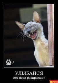 Пособие для выведения человека из себя