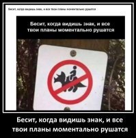 Особенно шикарен комментарий автора поста