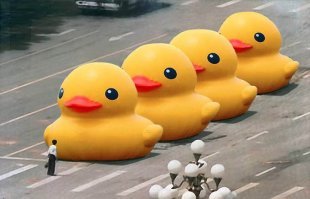 А потом они вырастут...