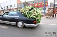 Автовсячина. Перевозчик